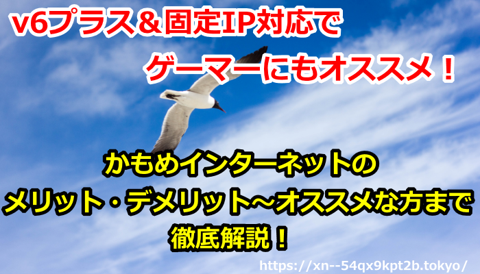 v6プラス&固定IP対応でゲーマーにもオススメ!かもめインターネットのメリット・デメリット~オススメな方まで徹底解説!