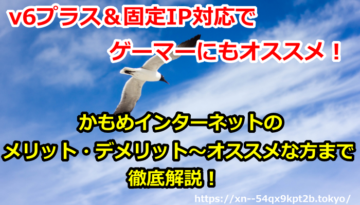 v6プラス＆固定IP対応でゲーマーにもオススメ！かもめインターネットのメリット・デメリット～オススメな方まで徹底解説！