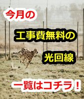 クイック光,株式会社DEX,キャンペーン,評判,口コミ,光コラボ