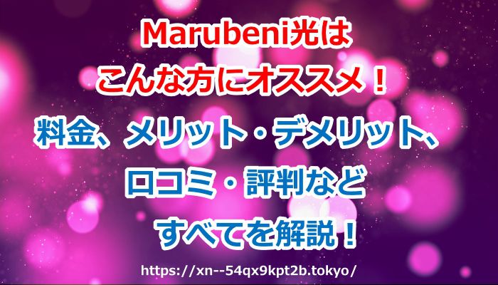 Marubeni光はこんな方にオススメ！料金、メリット・デメリット、口コミ・評判などすべてを解説