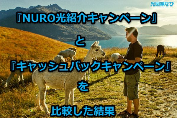 NURO光紹介キャンペーンとキャッシュバックキャンペーンを比較解説