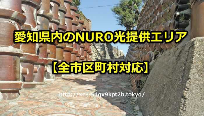 愛知県,NURO光,エリア,提供エリア