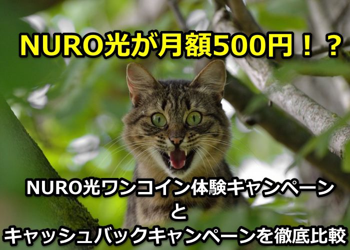 【月額500円！？】NURO光ワンコイン体験キャンペーンとキャッシュバックキャンペーンを徹底比較