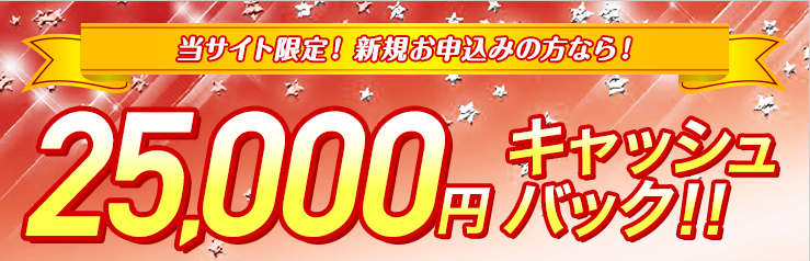 ピカラ光,料金,速度,auスマートバリュー,工事費無料,プロバイダ,電話,テレビ