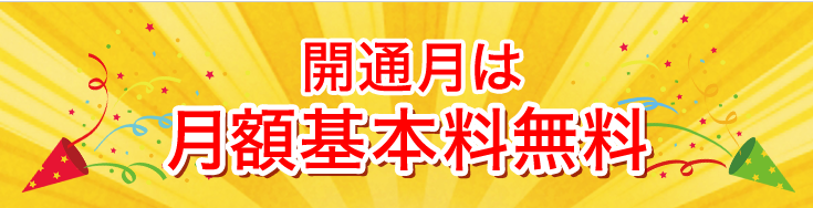 ピカラ光,料金,速度,auスマートバリュー,工事費無料,プロバイダ,電話,テレビ