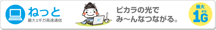 ピカラ光,料金,速度,auスマートバリュー,工事費無料,プロバイダ,電話,テレビ