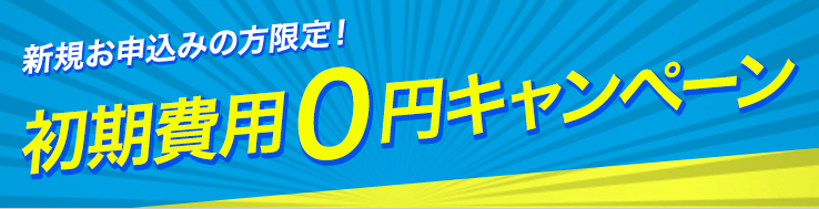 ピカラ光,料金,速度,auスマートバリュー,工事費無料,プロバイダ,電話,テレビ