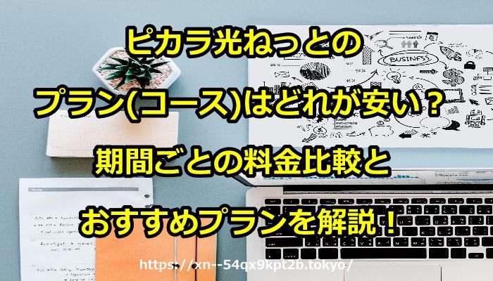 ピカラ光ねっと,プラン,安い,比較,コース,3年契約,5年契約,2年契約