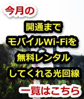 インターネットお急ぎ便,フレッツ光